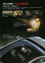 常德星都汽車銷售服務(wù) 專業(yè)品質(zhì)，駕享未來(lái)